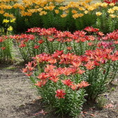 0422f89281492ae16f1904f7a0486164