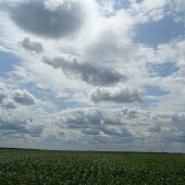 0745119e1425d954c84e500325612e6c