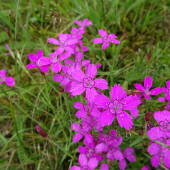 085485caf150adfaf47953505c9986ec