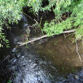 1ab2429fc5e8af07d4954d4f736137ad