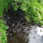 1d49fd7403379e0a2b75799f085dd95f