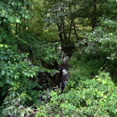 23f433428f065755a6bfa5c54a473e2e