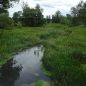 46bcae22d6f782a47b4c8469512051da