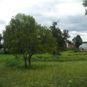 493bce3aed8cebb92a5da397db68ddf7