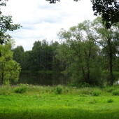 54eec00e1572b0dcb5027bde2971fbe1