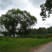 663e4f29d4613717fc548bf6d693696b