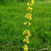 6876a5a6d06e863bfe9d22de64602983