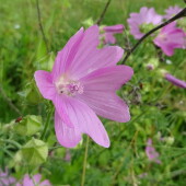 6c2f1949db6c36c7c4704c48121e745e