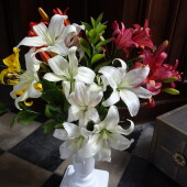 6dd9eae76dc6e4b458ef51b3812786d0