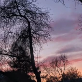 6e8c568e28958fbda634c9a261c66f58