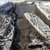 70ba376ebb392a9e5764433dff80eb83