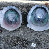 71904b66b7a7ddbd2a76d68ed471e086