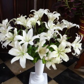 72e736e0be50b65604940f74784b1563