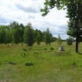 778167f18faecb2b66c41e7622679362