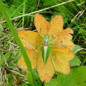 7b0ba8943b8487b1c76f256e37414619