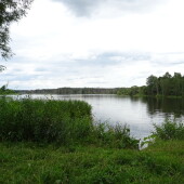 7f61fbdec792ad91fb19adac2c08bf3d