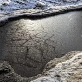 89611870be1f2c1f0ab395b100d909f5