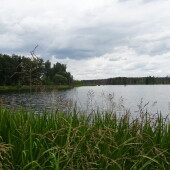 8a741ada9a445e6f1c693383d684ab81