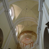 8db146122ef7239c918ff95de70e4d87