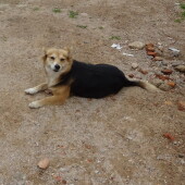 939c632a75dc74284cfb4a5bb757e299