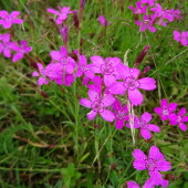 940d117b57295dcddc01e918b766ad26