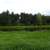 971bb4ccea1ce72a5822aad3e9231c94