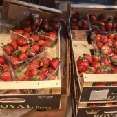 99e34f149bb72c557615755d1fccb55e