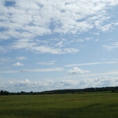 a200684b148e1e07e5b8ea975254ca94