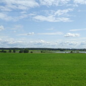 a3b93109c2a546aacb9bac36fbc9deb3