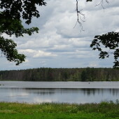 cd4dc6d43d78821915c047f5ffbe709b