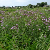 d511dfdb895dbaa923867e08ab2201d6