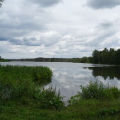 daeadf29d6a5fb04eb2f792941bd6871