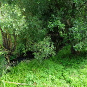 e4a3df3383d46bff31f62732bf302d4e