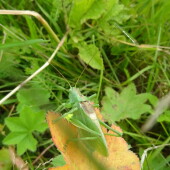 ebd592f8fff49b0ed0af95e916851dbf