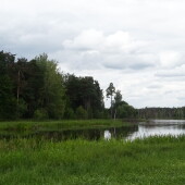 f9489bc6be4bfa03436ebe4c7dd76bdc