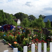 1a52f6f4f3a4505c7b98b486275207c5