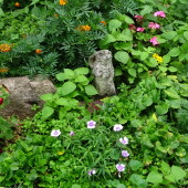 387b691beca242dd840b274fa00f2d4f