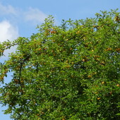 3e6222691aa07d36216facec70fc2e80