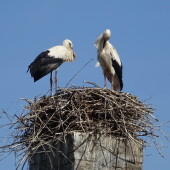 78561db8157dc25249db9e1b9dd5efb2