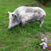 7d5add8f06e00a3ac5e483d0e53433ad