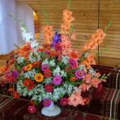 7dea7f976d10df12f90f91a0983873ed