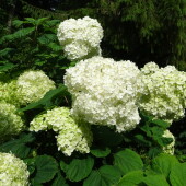 84c33bda134b4416bc69d834c45bc488