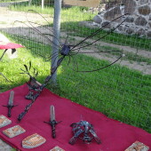 889e3734f3eeb23421a5df903fe30243