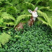 8f477c9ebbaa3c5bdcdde8e743d0cb28