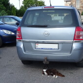 93f697f726cbb6d4b44d612169a66f56