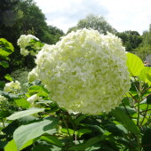 b35bdb4cb9141d2a5bf537c34077279c