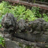 d4914f0eb67ba3784b9fb3b256787b42