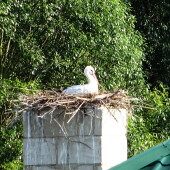 d5495d30d0eb055ba37a781864a270ab