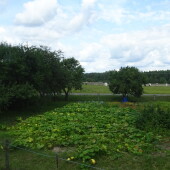 db5ba1ca8137adbec45b38a7e4a76db7