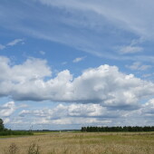 ebf74434b77cf70f40d04fac47f96006